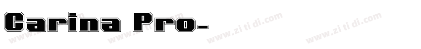 Carina Pro字体转换